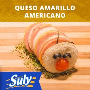 QUESO AMARILLO AMERICANO